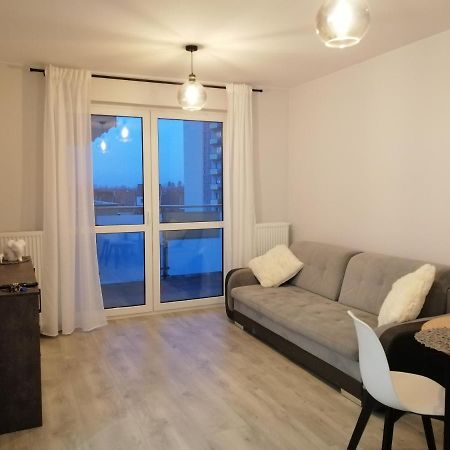 Apartament Mielczarskiego Διαμέρισμα Έλμπλαγκ Εξωτερικό φωτογραφία