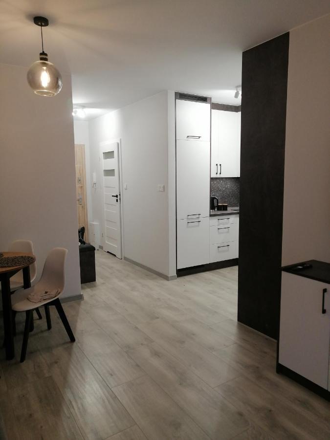 Apartament Mielczarskiego Διαμέρισμα Έλμπλαγκ Εξωτερικό φωτογραφία